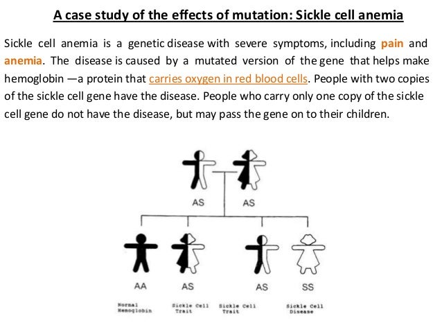 sickle cell anemia diagnosis A case study of the effects of mutation sickle cell anemia